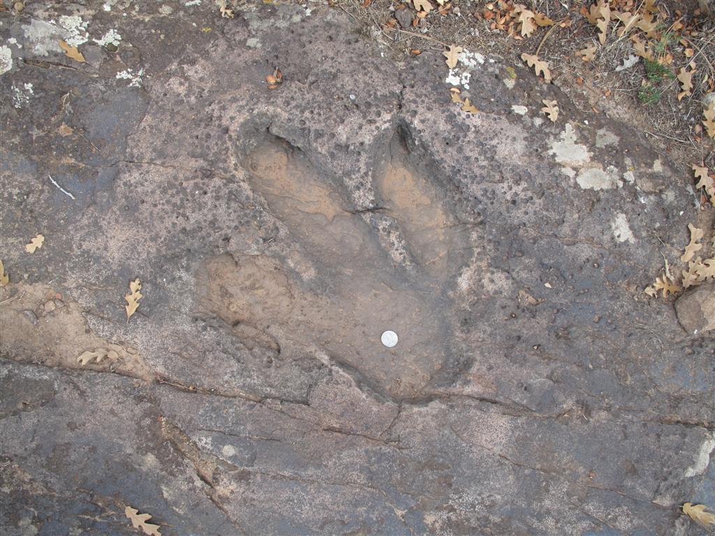 IMG_4243 (Large).JPG IMG_4243 (Large).JPG